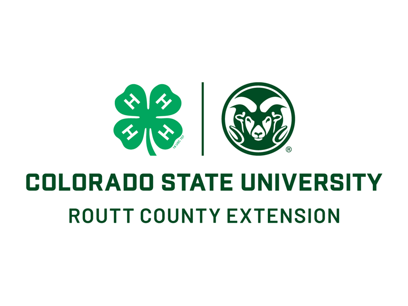 Logo for 2026 Routt County Fair